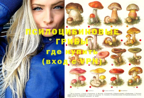 тгк Абаза