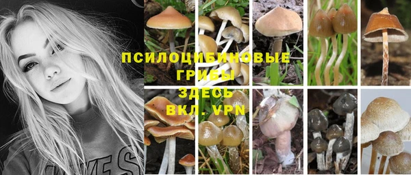 тгк Абаза