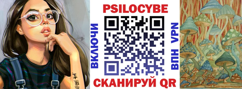Псилоцибиновые грибы GOLDEN TEACHER  где найти наркотики  Суздаль 